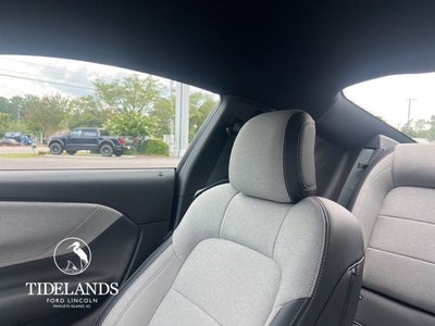 2025 Ford Mustang EcoBoost® Fastback