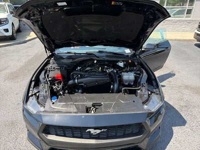 2024 Ford Mustang EcoBoost Premium