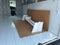 2024 Ford E-350SD Base Cutaway