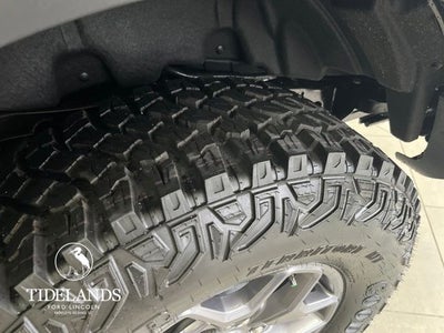 2025 Ford Bronco Badlands®