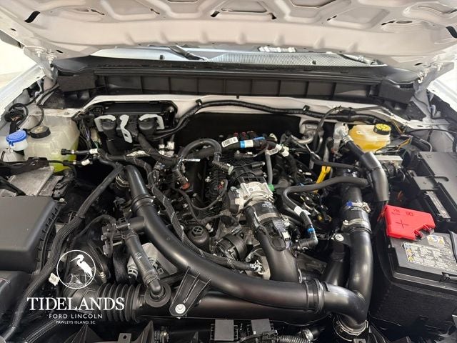 2025 Ford Bronco Badlands®