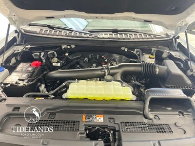 2025 Ford Expedition TREMOR®