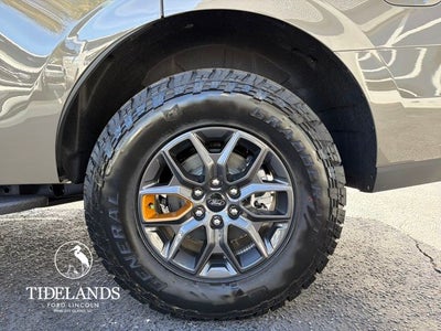 2026 Ford Expedition Tremor®