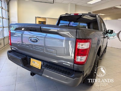 2023 Ford F-150 XL
