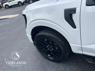 2025 Ford F-150 STX®