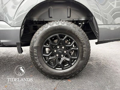 2025 Ford F-150 STX®