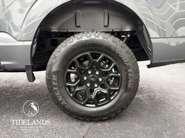 2025 Ford F-150 STX®