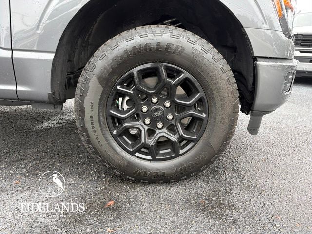 2025 Ford F-150 STX®