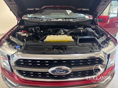 2021 Ford F-150 King Ranch
