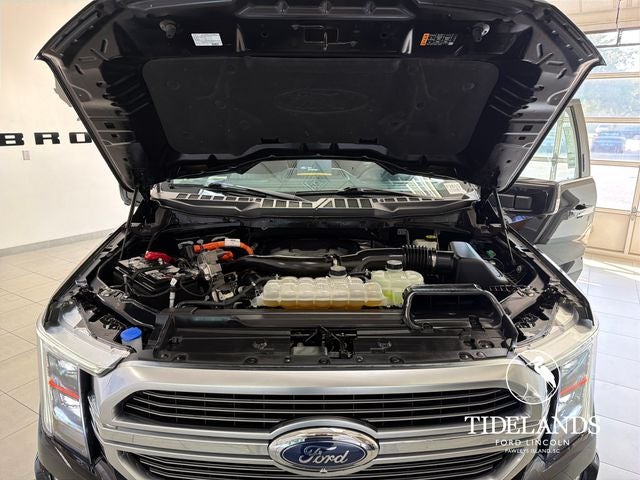 2023 Ford F-150 Limited
