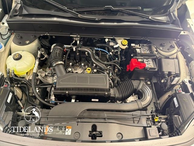 2025 Ford Bronco Sport Big Bend®