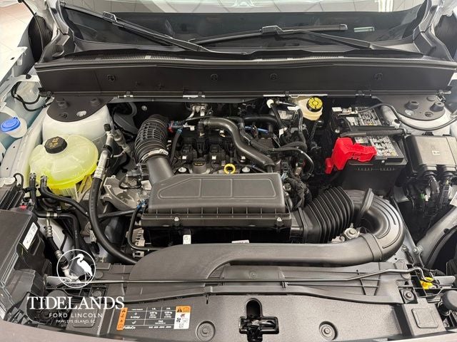 2025 Ford Bronco Sport Big Bend®