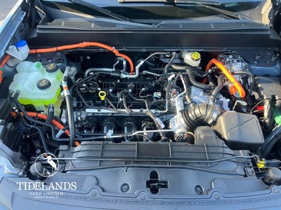 2025 Ford Maverick XLT