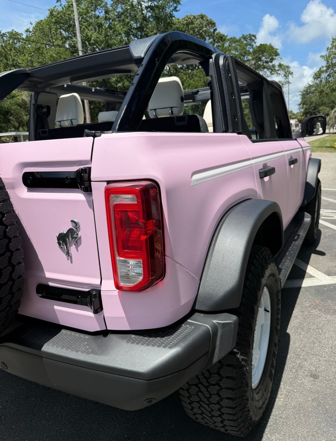 Pink Bronco