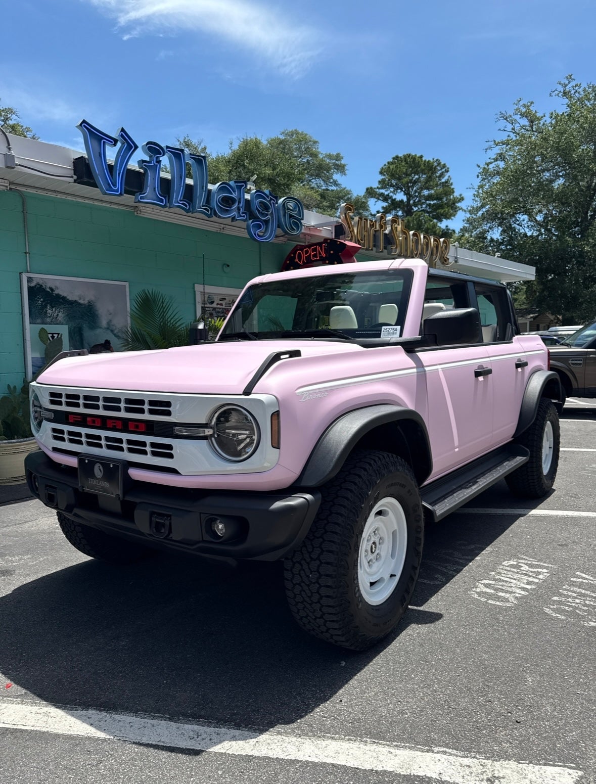 Pink Bronco